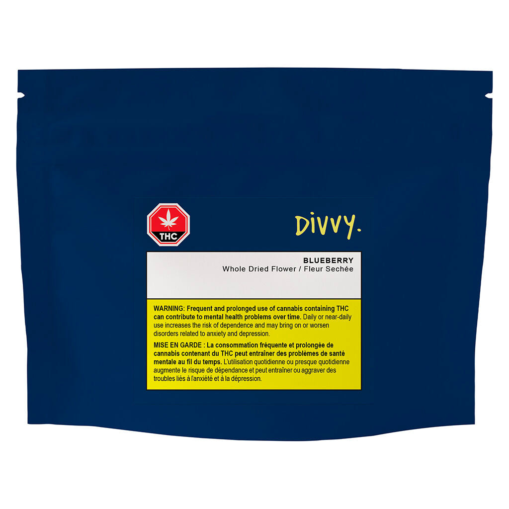 Divvy Blueberry