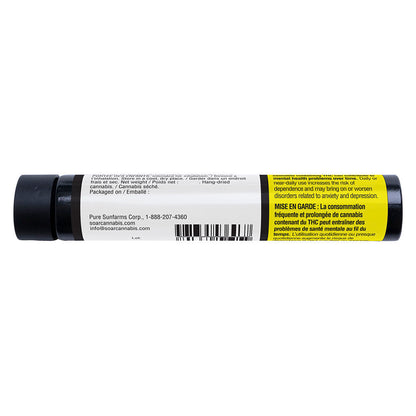 C99 Haze Glass Tip Pre-Roll | Smokey's