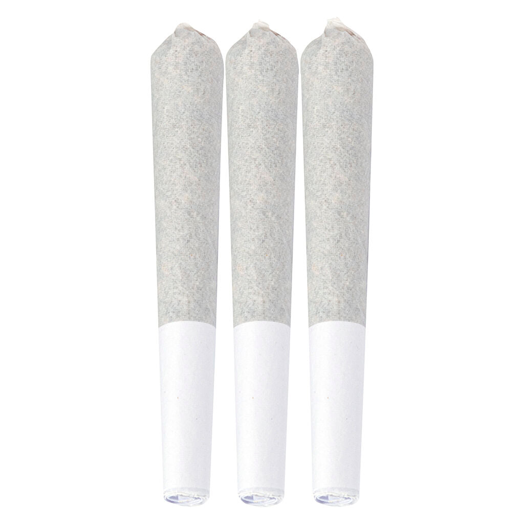 Berry Sherbert Pre-Roll | Smokey's