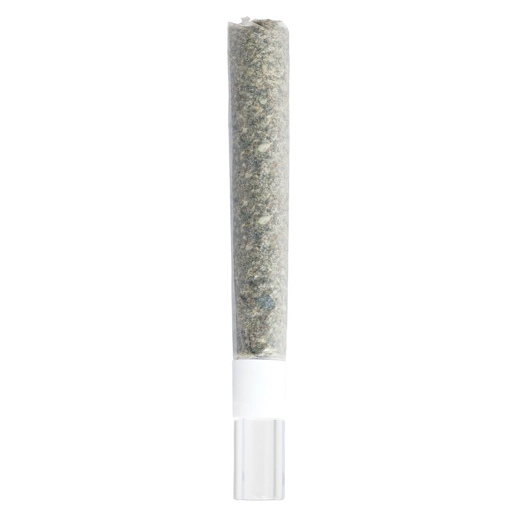 1x1g