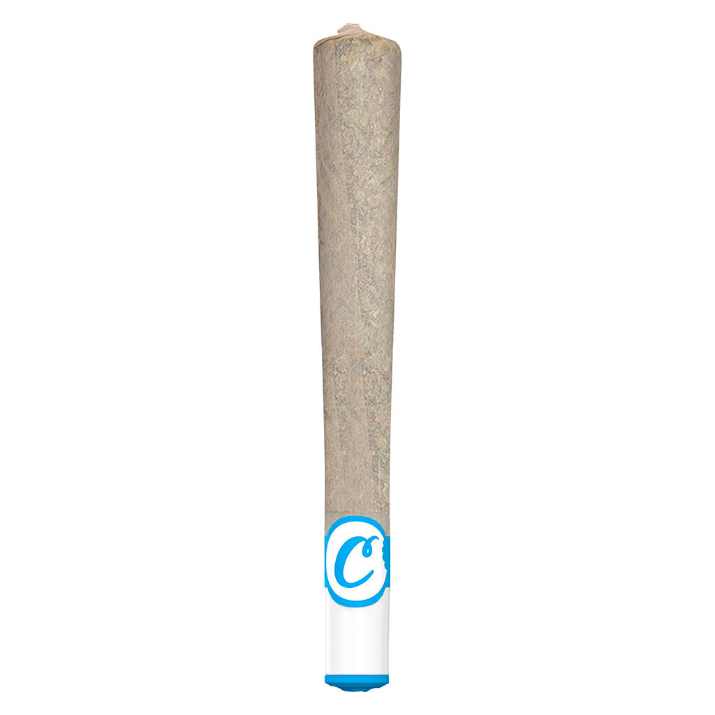 1x1g