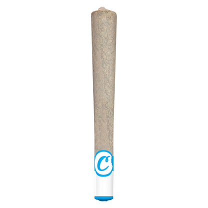 1x1g