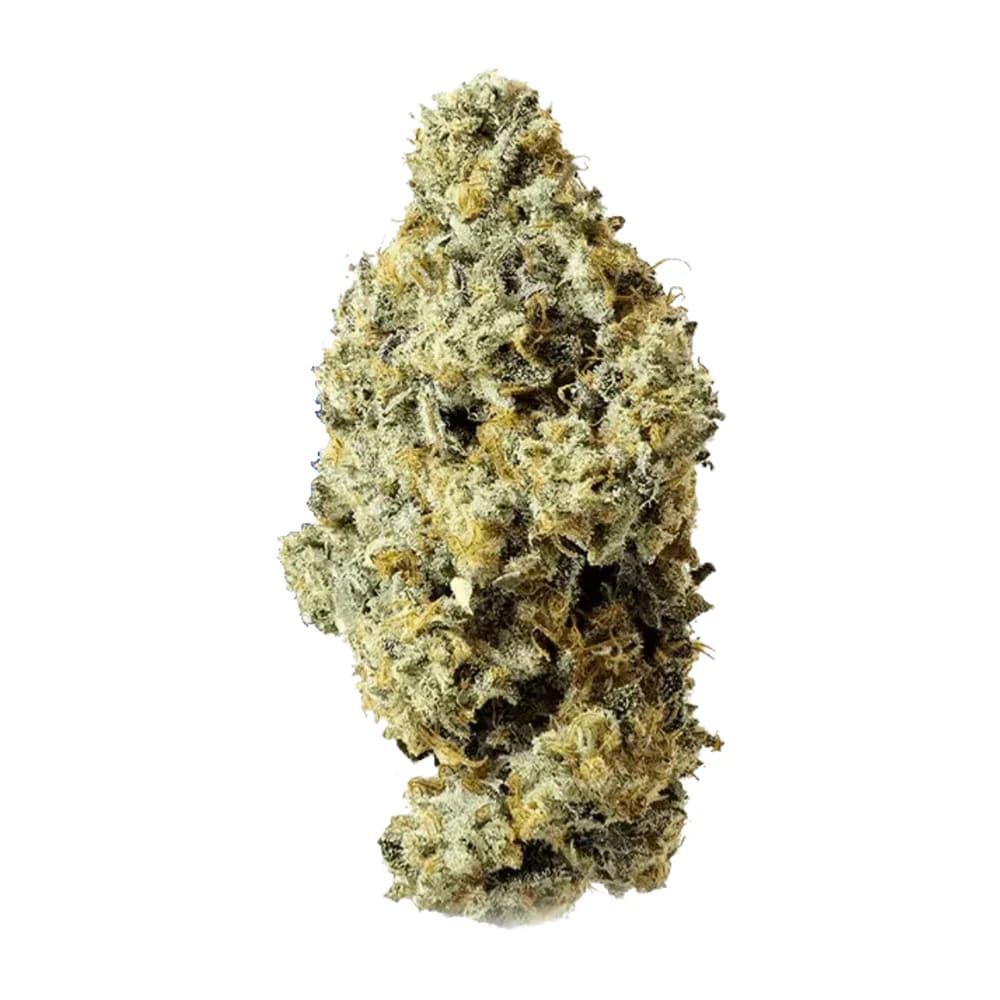 28g