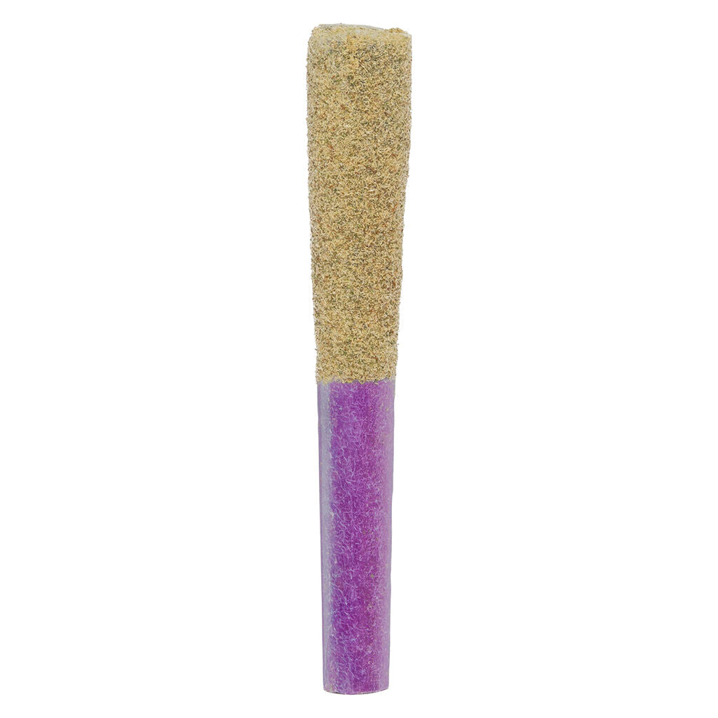 1x1g