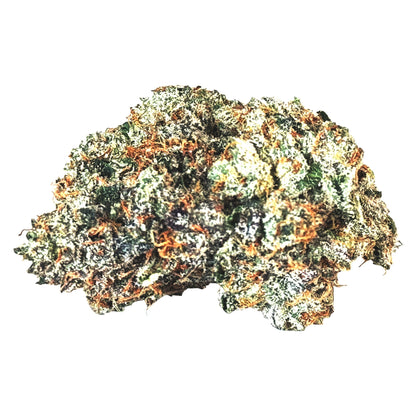 MTL Gas n' Up