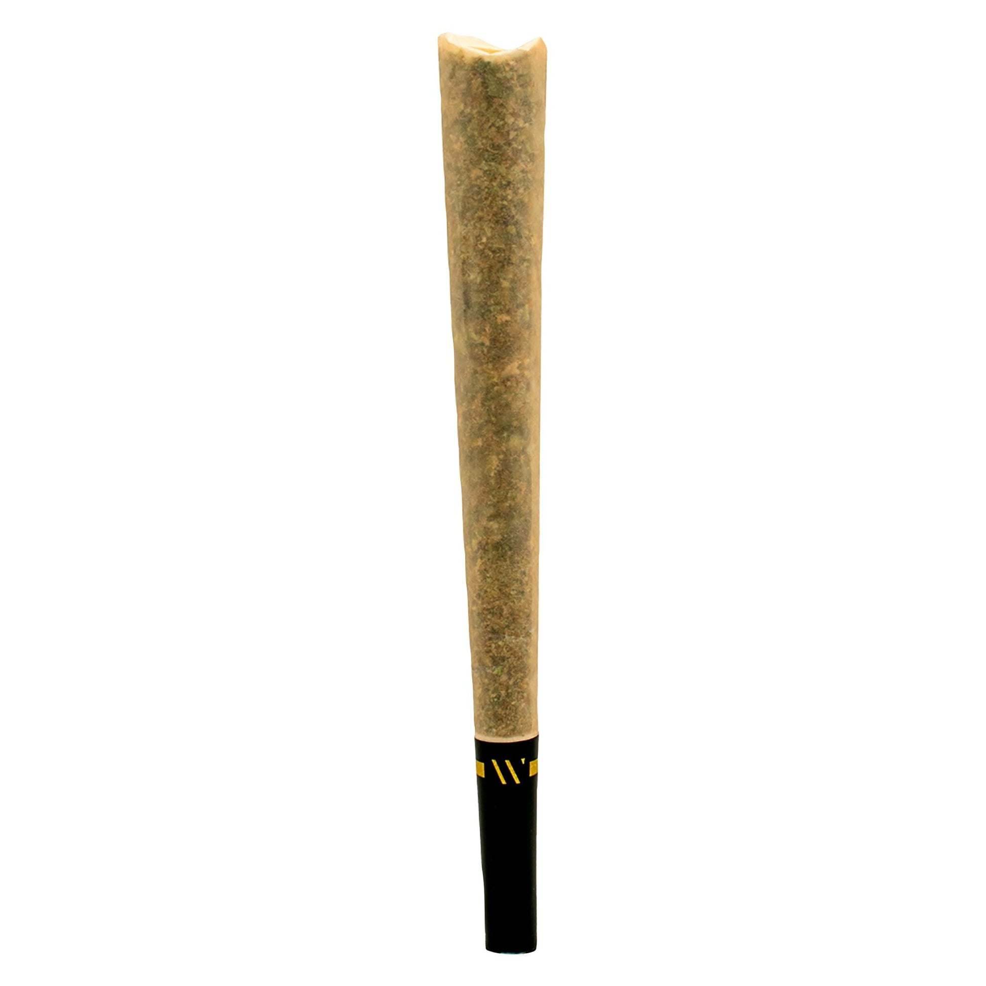 1x1g