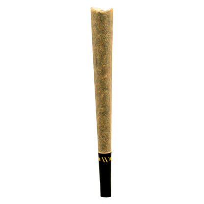 1x1g