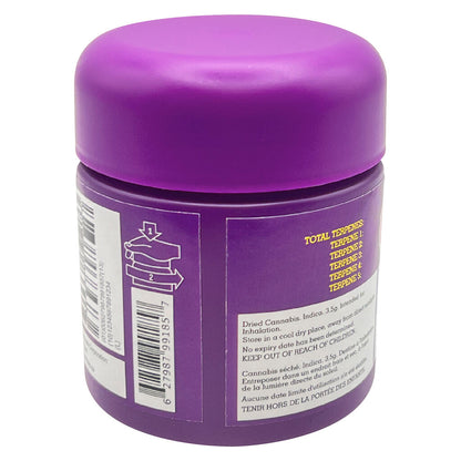 HighXotic Royal Dive #5: Purple Zombie