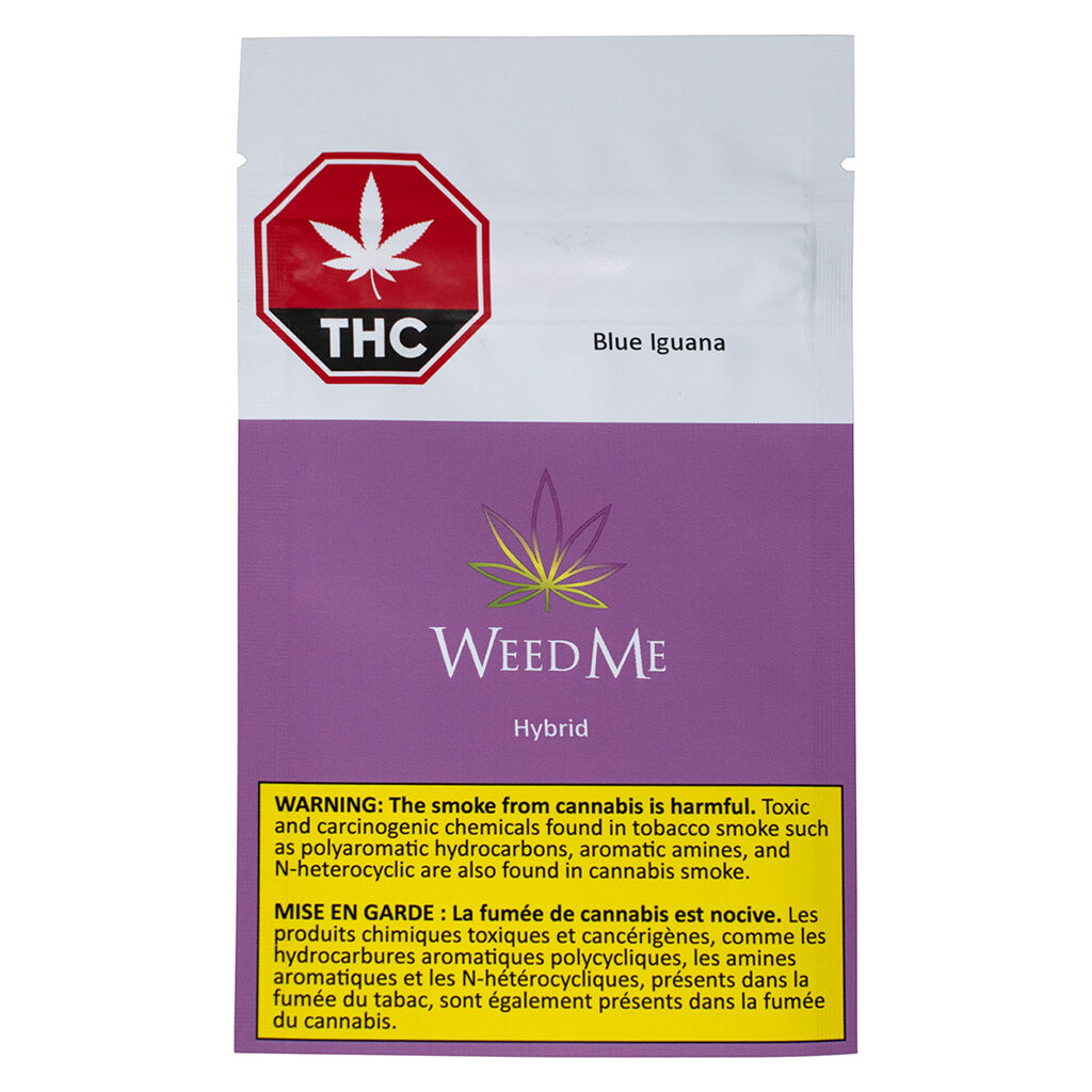 Weed Me Blue Iguana