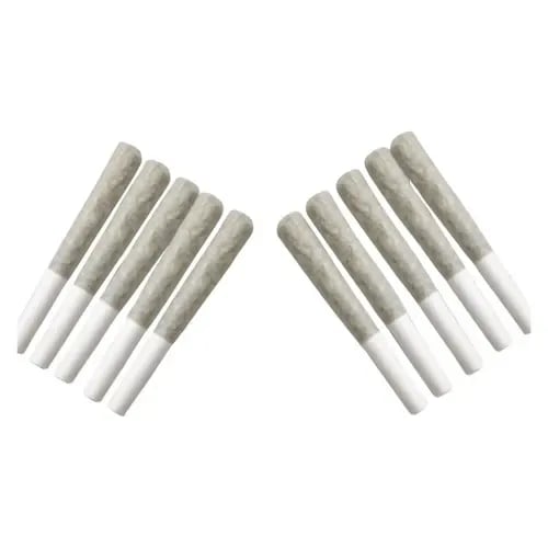 1x1g