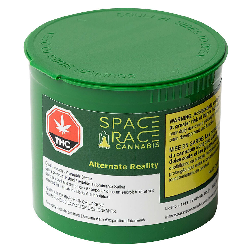 SPACE RACE Alternate Reality