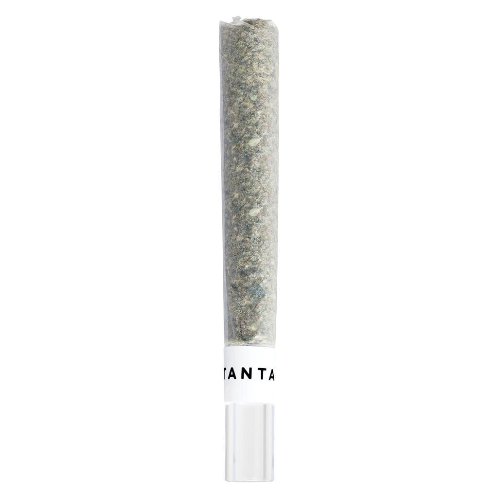 1x1g