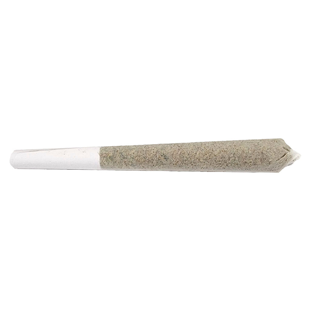 1x1g