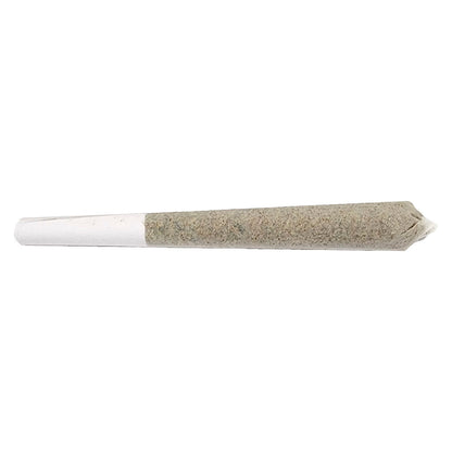 1x1g