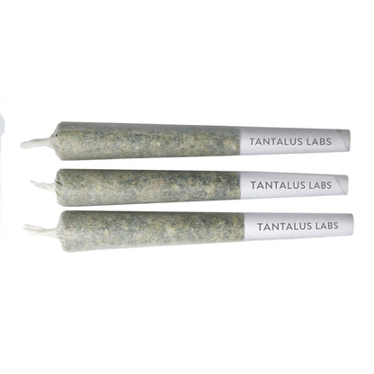 10x0.5g