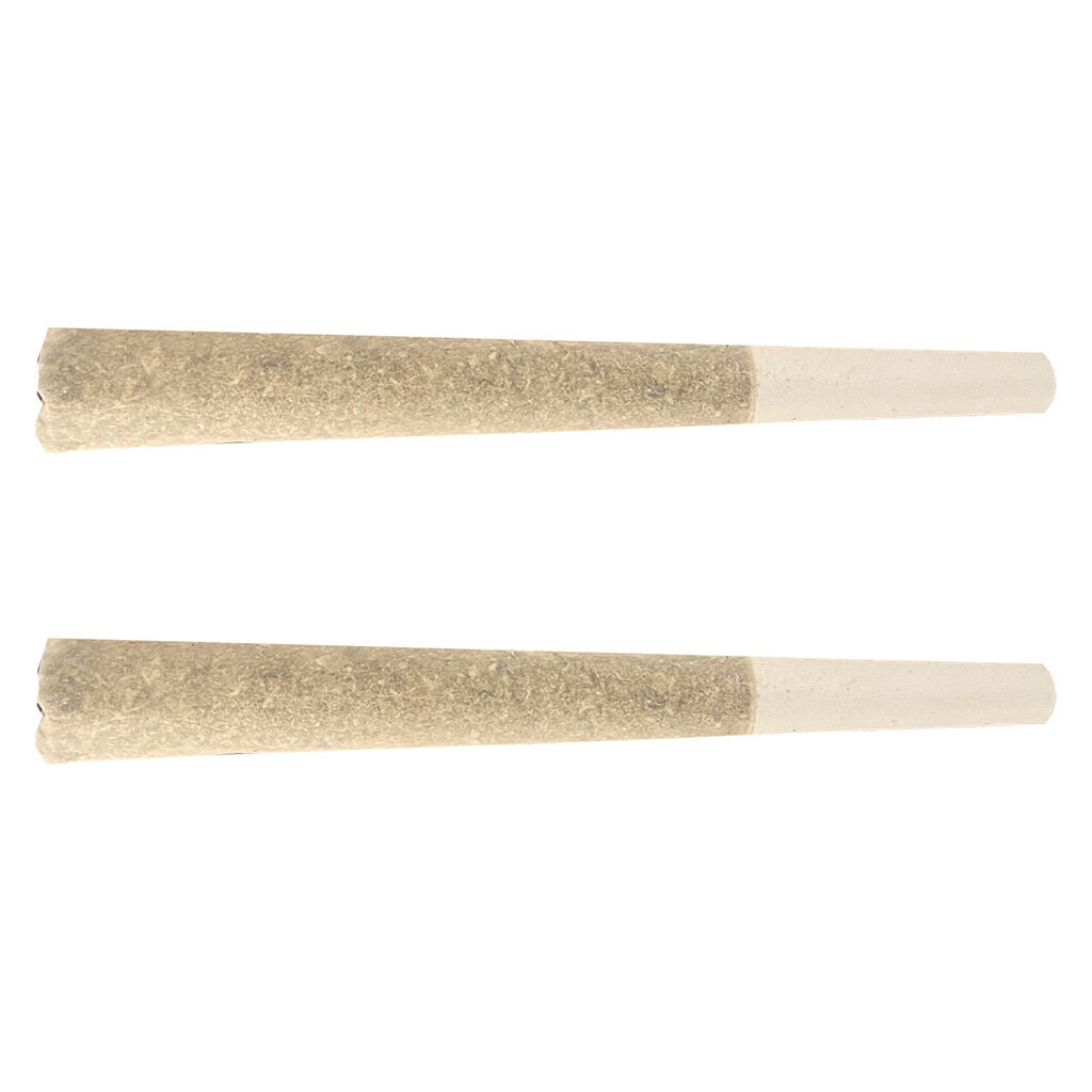 2x1g