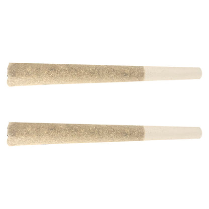 2x1g