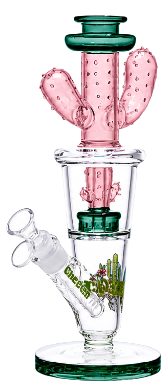 Cactus Oasis 12" Waterpipe | Smokey's