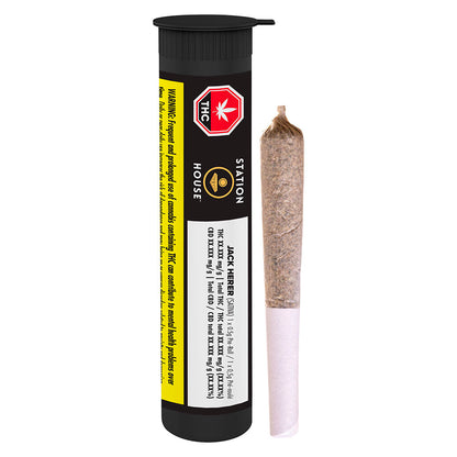 Station House Jack Herer Pre-Roll
