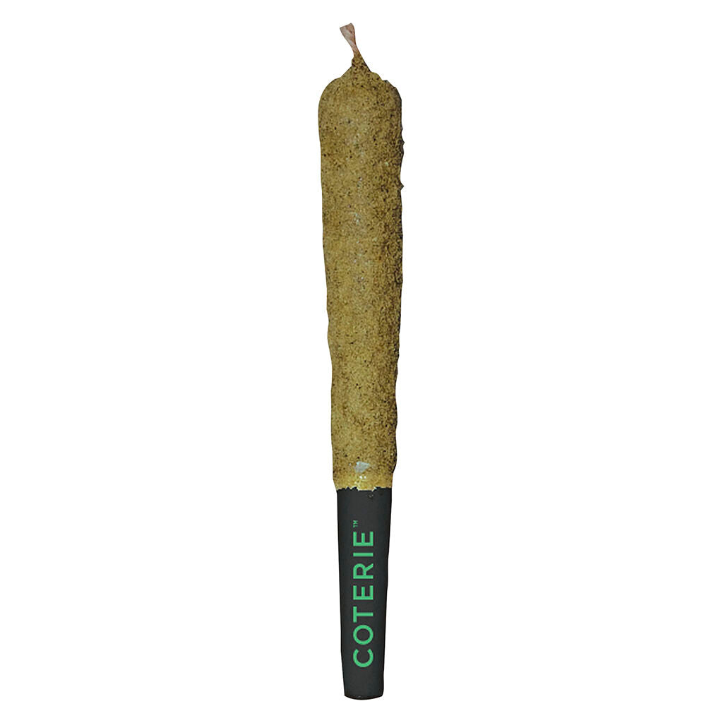 1x1g
