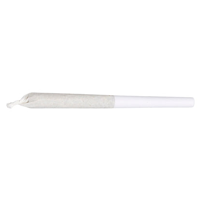 Pumpkin Spice Pre-Roll | Smokey's