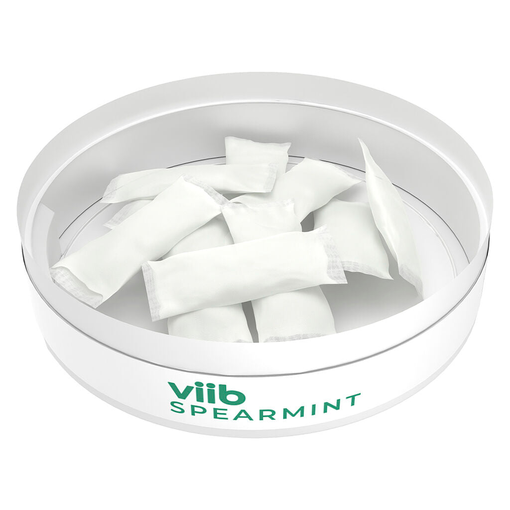 Spearmint CBG Oral Pouches | Smokey's