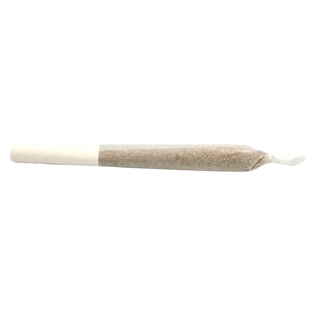 Bluenose Berry Pre-Roll | Smokey's