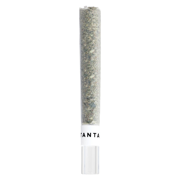 Mai Tai x Zero Gravity Glass Tip Pre-Roll — Smokey's | Sativa PR | Cannabis Delivery & Pickup
