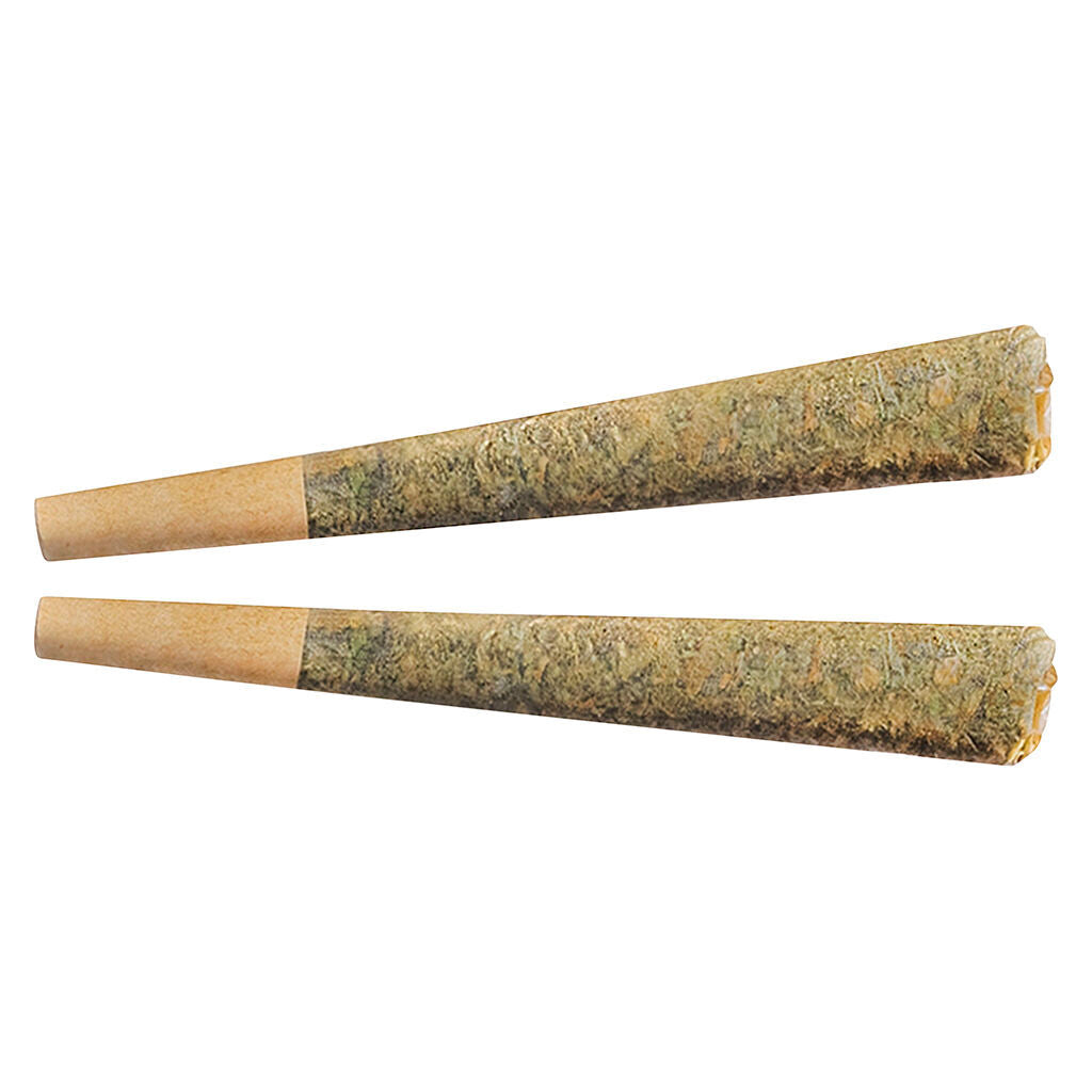 2x1g