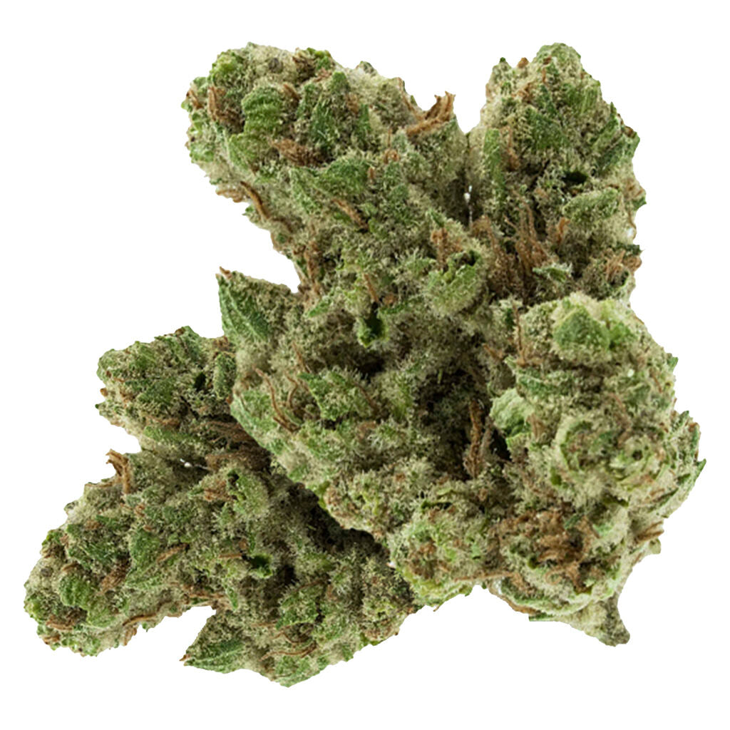 28g