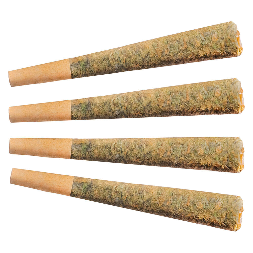 Night Rider Pre-Roll | Smokey's
