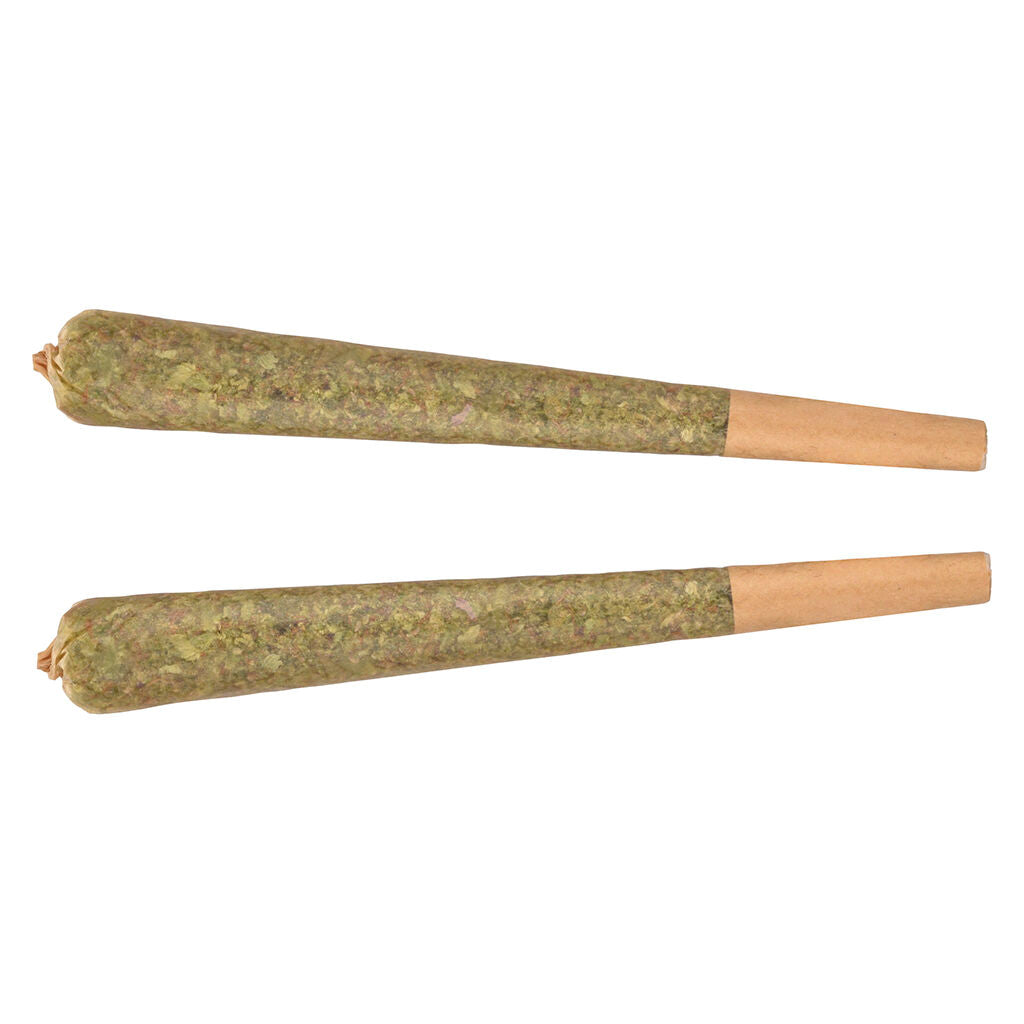 2x1g