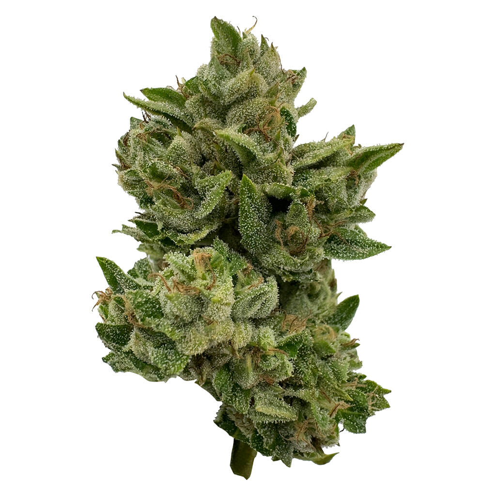 28g