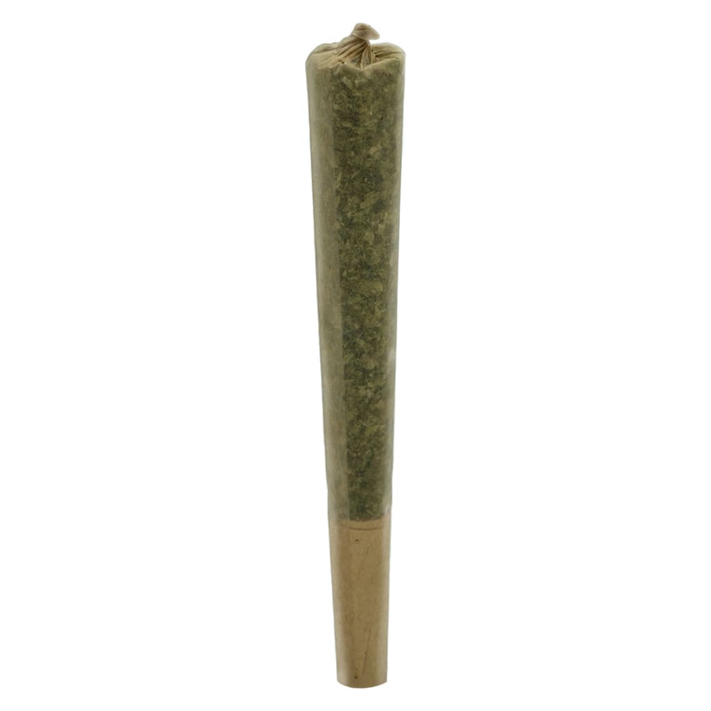 1x1g