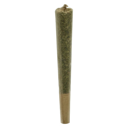 1x1g