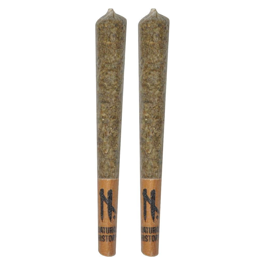 1x1g
