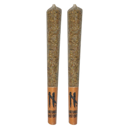 1x1g
