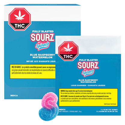 Blue Raspberry Watermelon Soft Chew | Smokey's