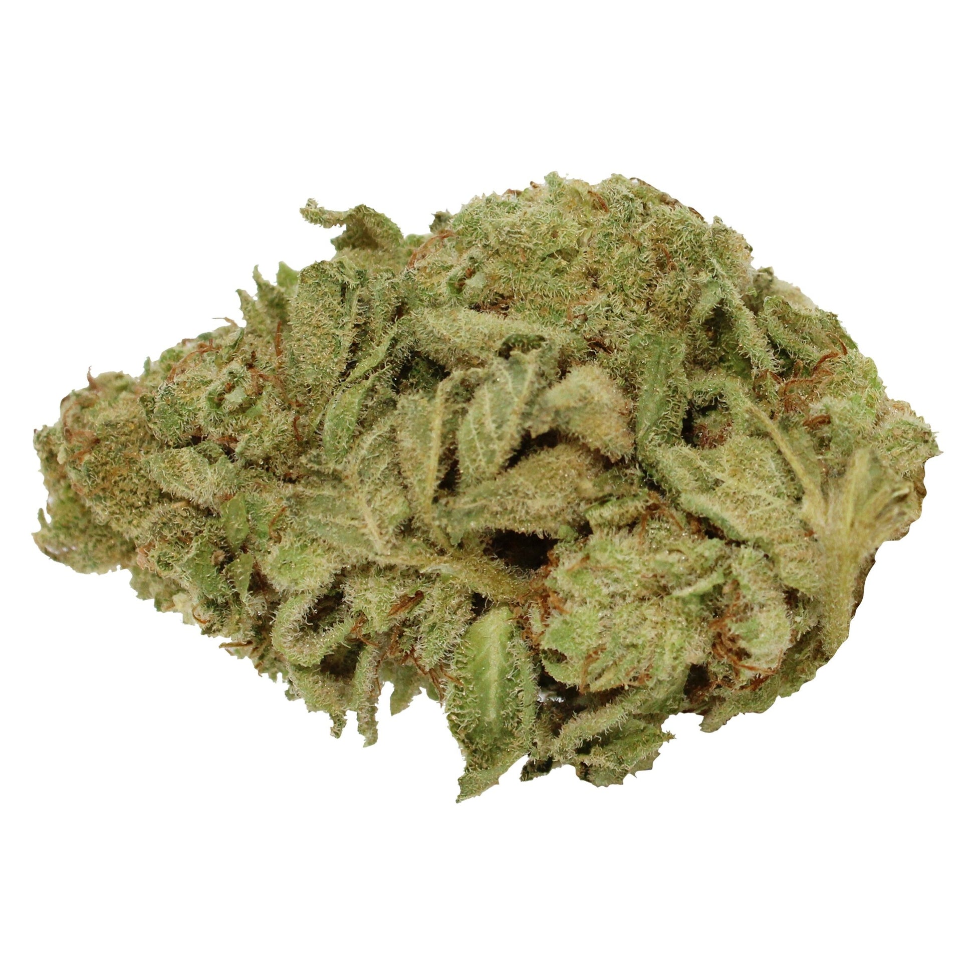 28g