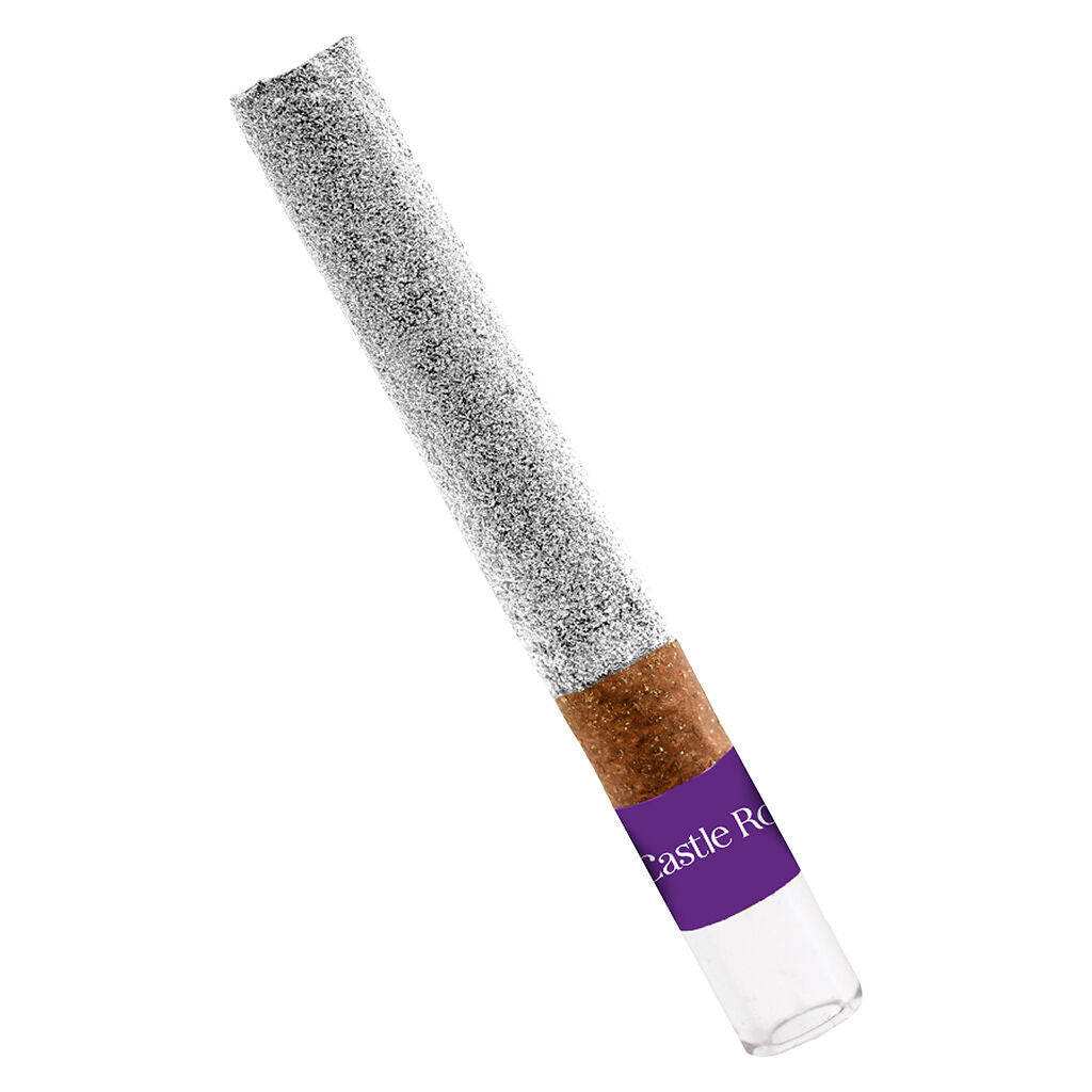 1x1g