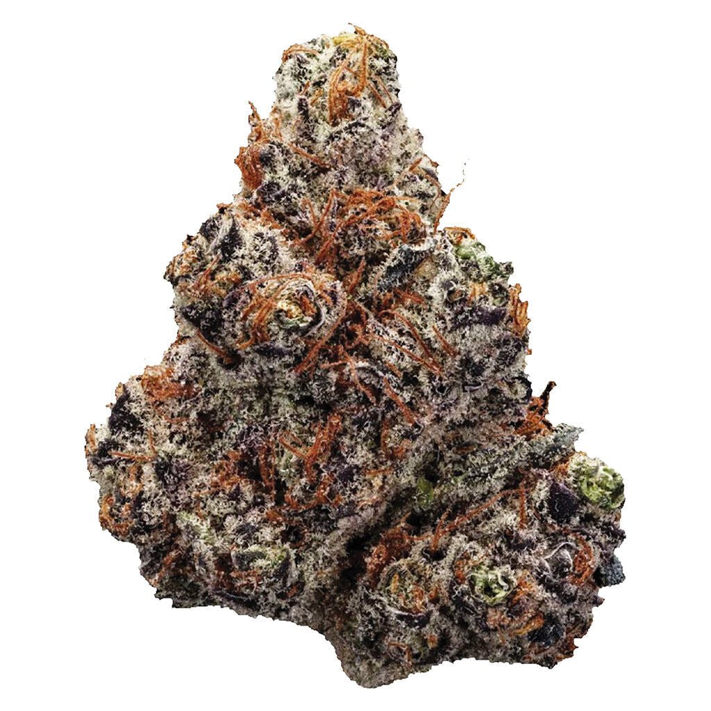 Northern Lights | Smokey's