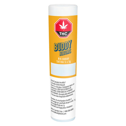Buddy Blooms Big Buddy Pre-Roll