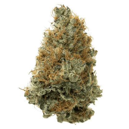 7g