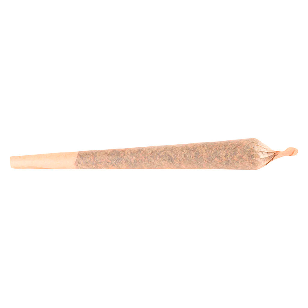 1x1g