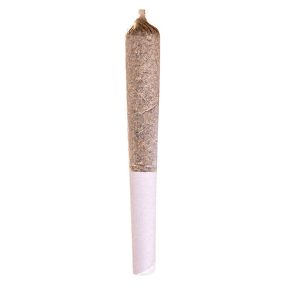 Station House LA Confidential Pre-Roll