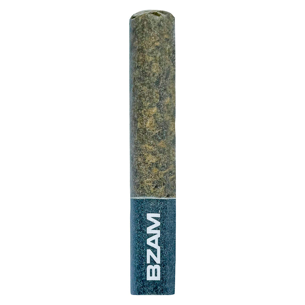 1x1g