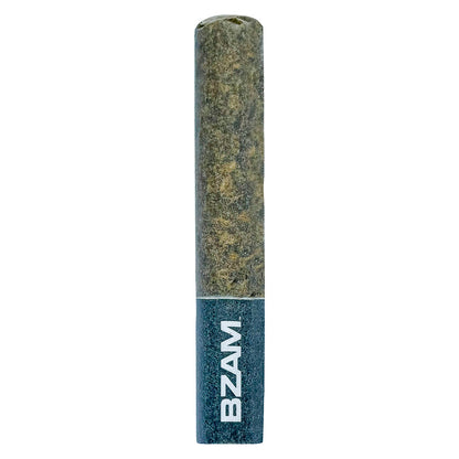 1x1g