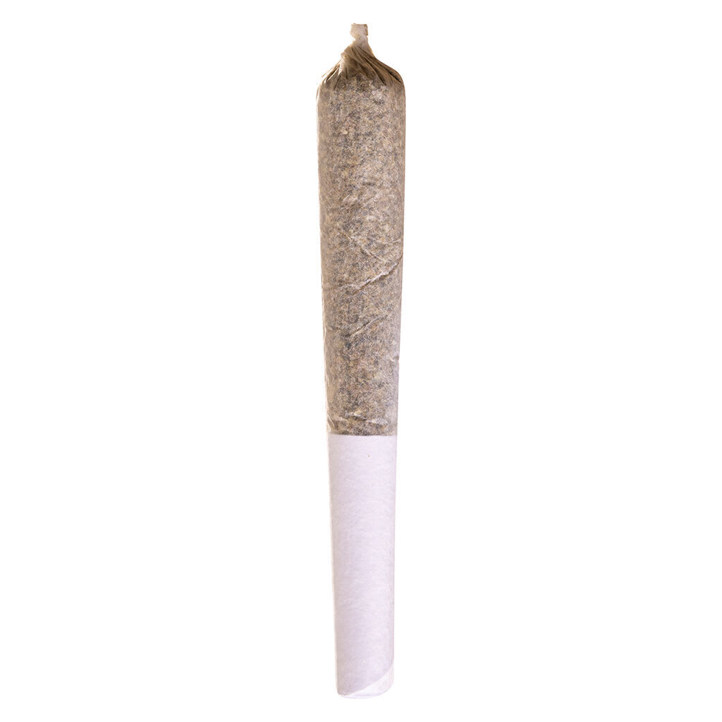 Station House Jack Herer Pre-Roll | Smokey's