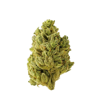Tantalus Labs Pacific OG | Smokey's