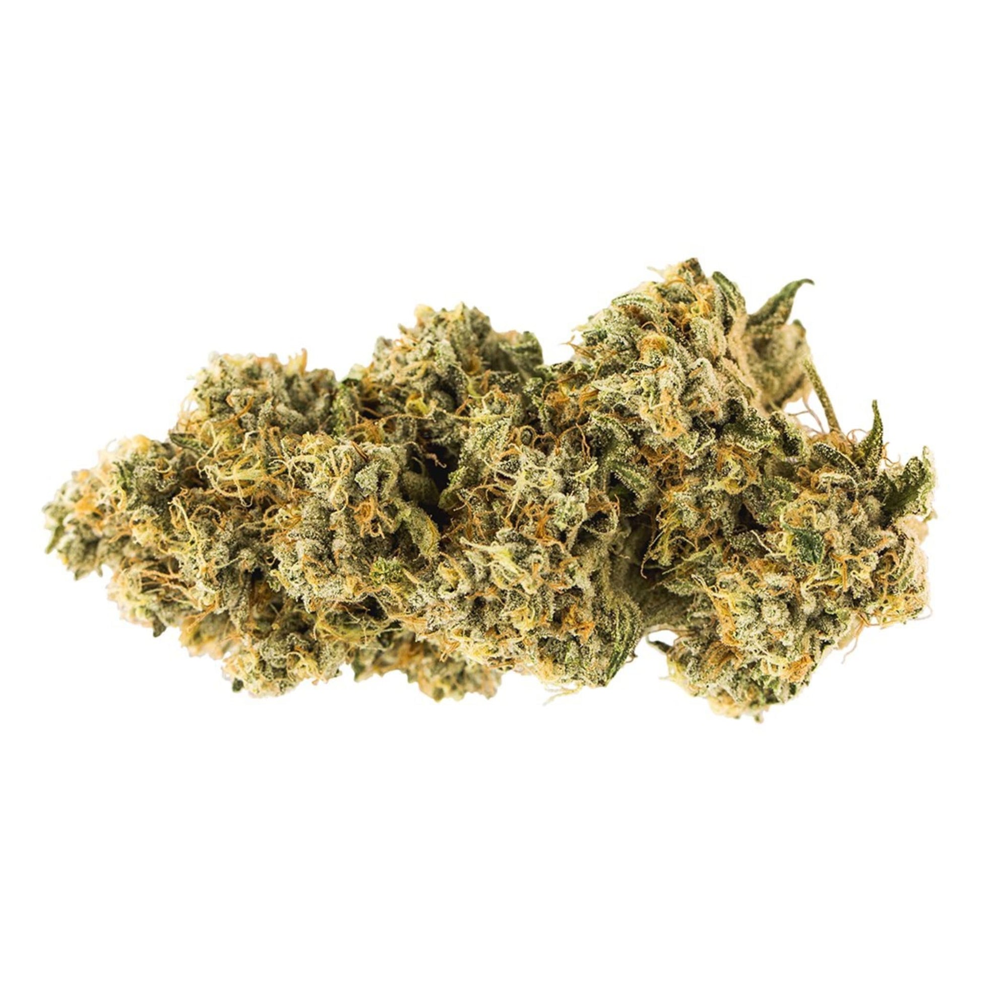 Carmel Animal Face | Smokey's